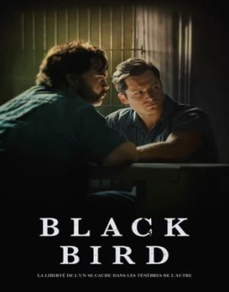 série Black Bird