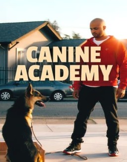 série Canine Academy