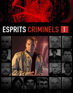 voir serie Esprits criminels saison  1
