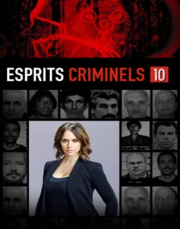 voir serie Esprits criminels saison  10