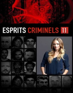 voir serie Esprits criminels saison  11