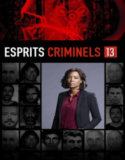 voir serie Esprits criminels saison  13