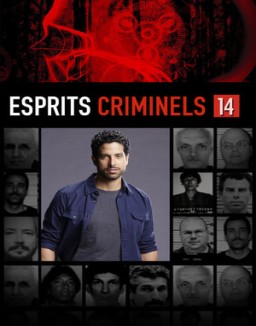 voir serie Esprits criminels saison  14