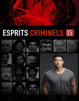 voir serie Esprits criminels saison  15