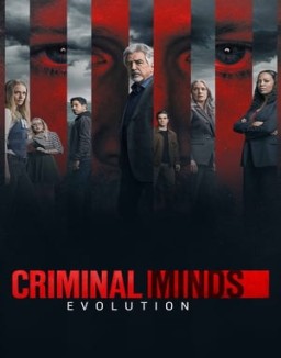 série Esprits criminels