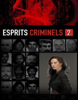 voir serie Esprits criminels saison  2
