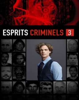 voir serie Esprits criminels saison  3