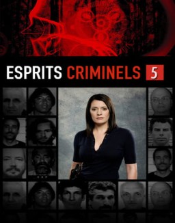 voir serie Esprits criminels saison  5