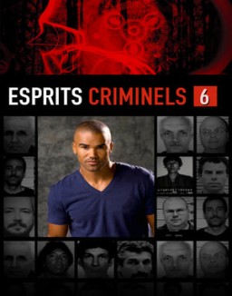 voir serie Esprits criminels saison  6
