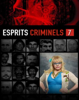 voir serie Esprits criminels saison  7