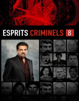 voir serie Esprits criminels saison  8