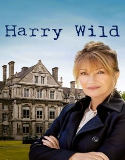 voir serie Harry Wild saison  1