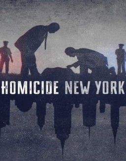 voir serie Homicide saison  1