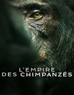 série L'Empire des chimpanzés