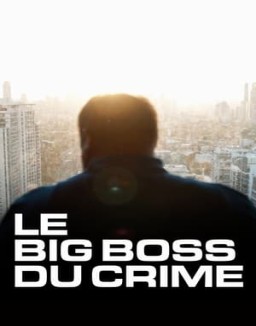 série Le big boss du crime