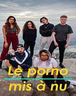 série Le Porno mis à nu