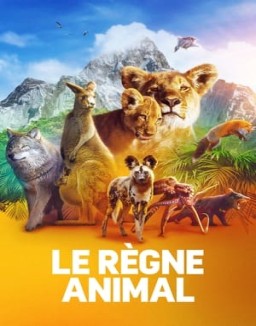 voir serie Le règne animal saison  1