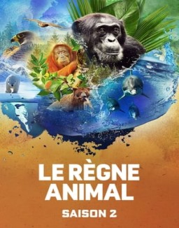 série Le règne animal