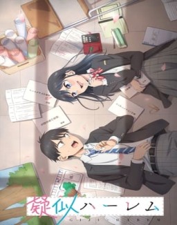 série Pseudo Harem