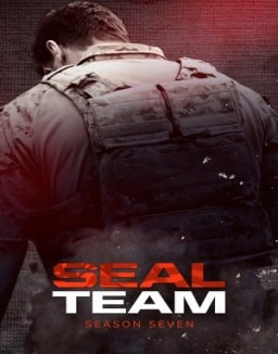 série SEAL Team