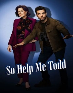 série So Help Me Todd