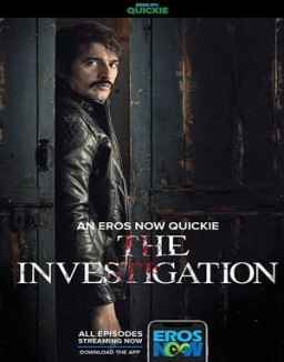 série The Investigation