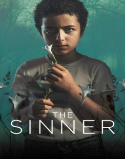 voir serie The Sinner saison  2