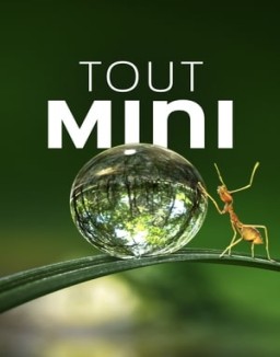 voir serie Tiny World saison  1