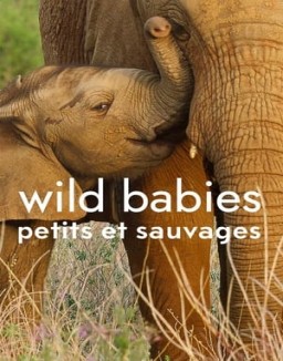 série Wild Babies : Petits et Sauvages