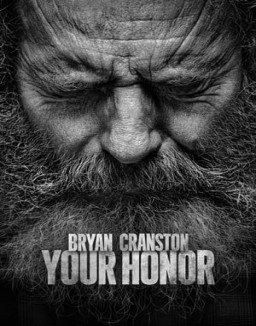 voir serie Your Honor saison  1